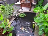 *** Hotel Inang Ubud Villa Indonesia